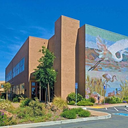 Doubletree By Hilton Napa Valley - American Canyon Luaran gambar